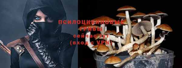 метадон Армянск