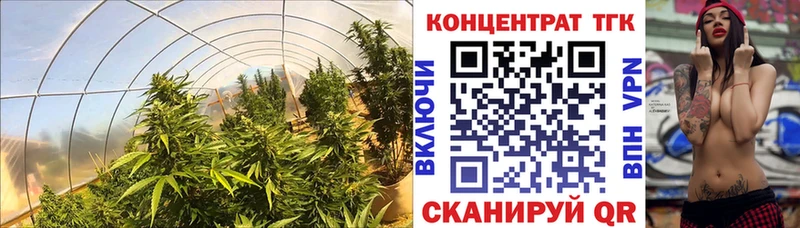 цена наркотик  Малмыж  ТГК Wax 